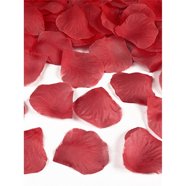 100 Rosenblätter - Rot